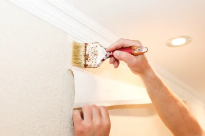 Pose de papier peint à Bois-de-Haye — revêtements muraux et toiles de verre